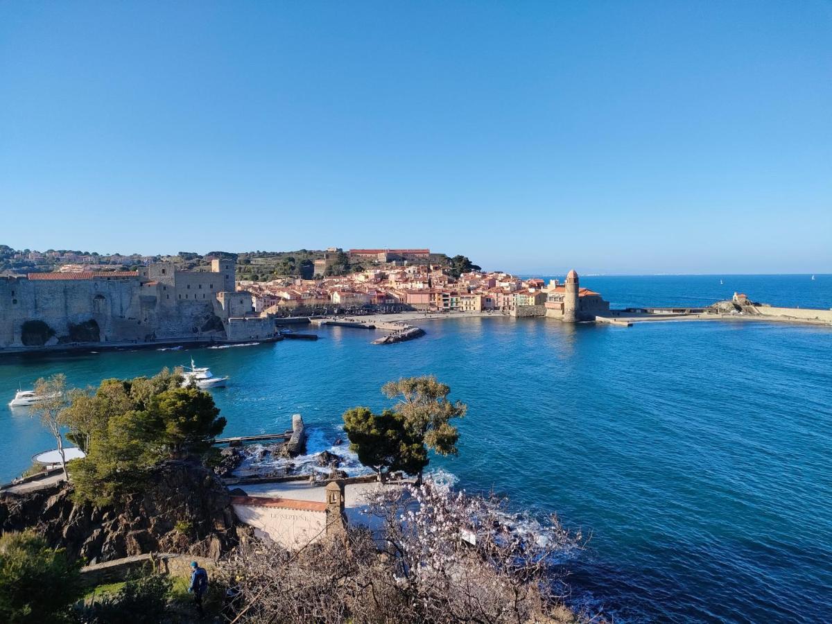 La Perle De Collioure A 100 Metres De La Plage De Sable Fin Avec Piscine Et Parking Exterior photo