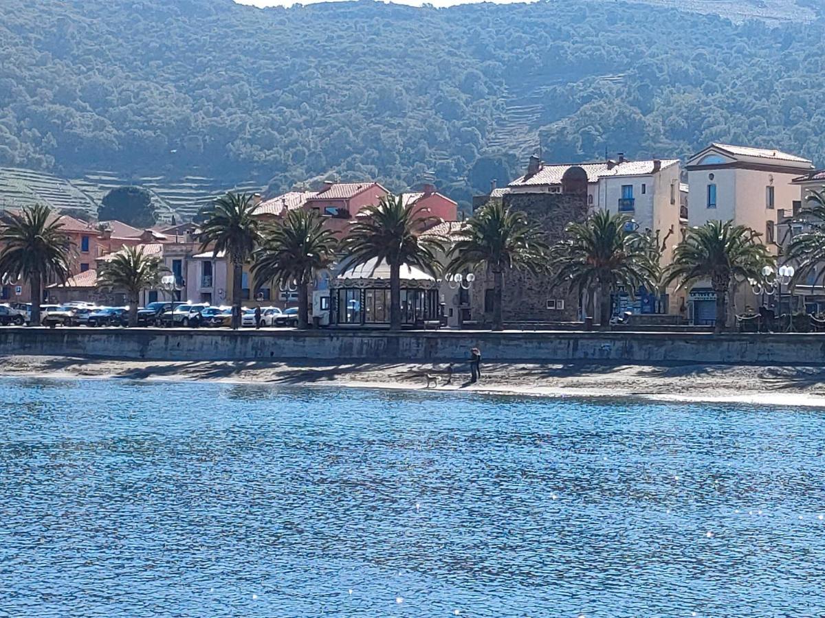 La Perle De Collioure A 100 Metres De La Plage De Sable Fin Avec Piscine Et Parking Exterior photo