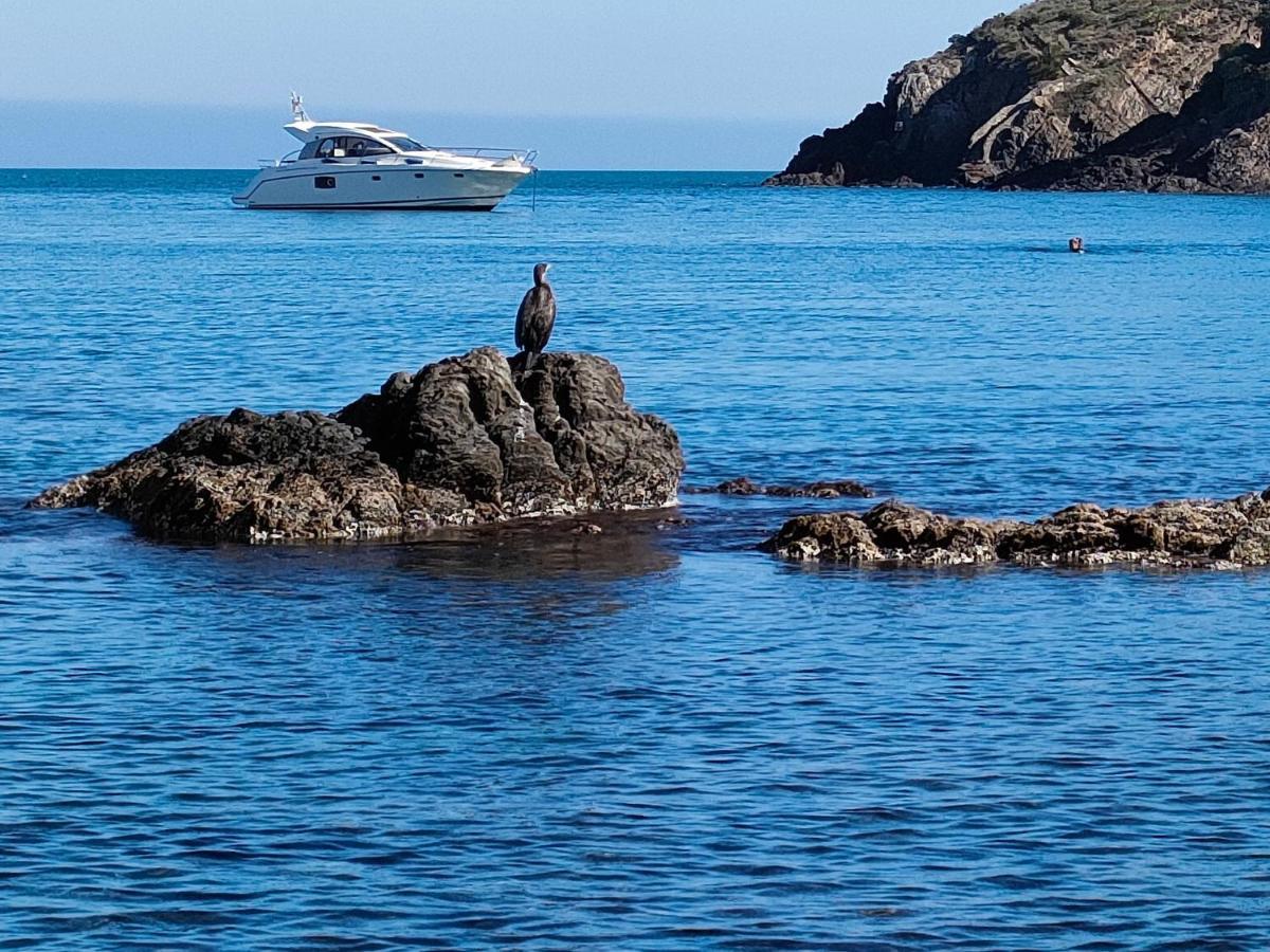 La Perle De Collioure A 100 Metres De La Plage De Sable Fin Avec Piscine Et Parking Exterior photo