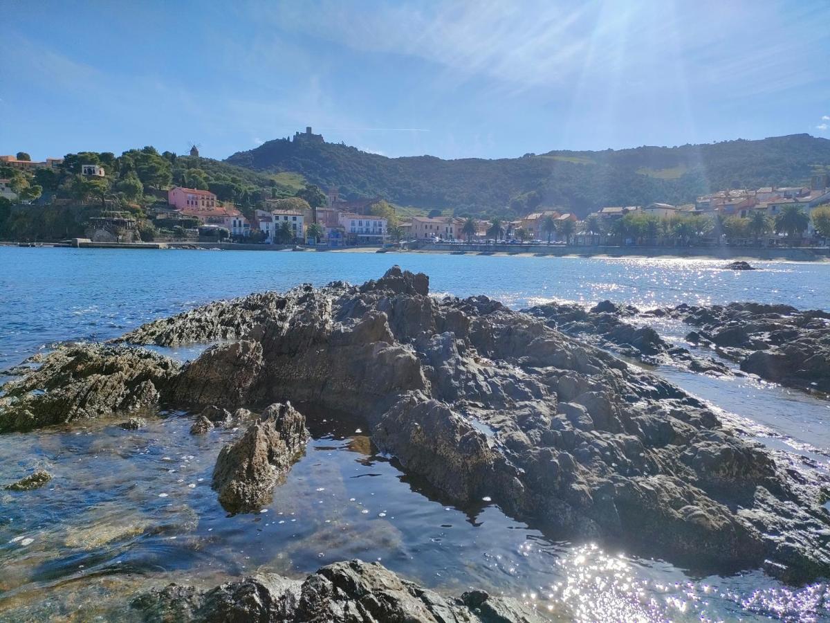 La Perle De Collioure A 100 Metres De La Plage De Sable Fin Avec Piscine Et Parking Exterior photo